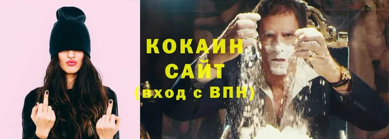 COCAIN Fish Scale  ссылка на мегу сайт  Канск  наркота 