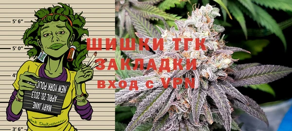 ешки Белокуриха